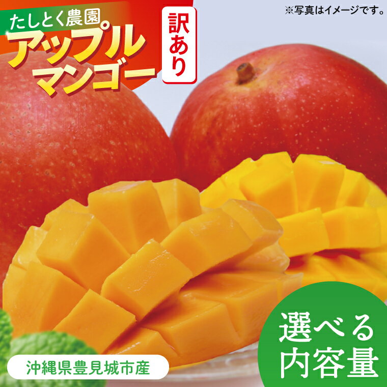 【ふるさと納税】【選べる内容量】【2026年6月下旬より順次発送】★訳あり★沖縄県豊見城市産アップルマンゴー 約2kg or 約1.5kg｜マンゴー アップルマンゴー 訳あり わけあり フルーツ くだもの 果物 先行予約 数量限定 おきなわ 沖縄 沖縄フルーツ 豊見城市(DJ002)