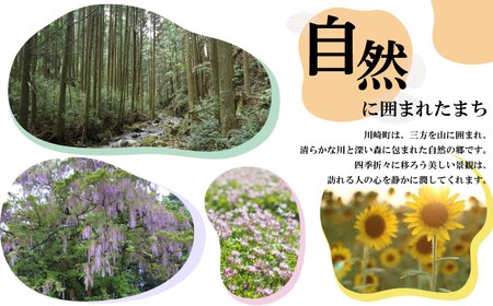 もつ鍋 醤油｜もつ鍋 KMI