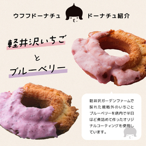 軽井沢満喫セット スイーツ お菓子 ドーナツ 洋菓子 菓子 手作りドーナツ 