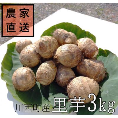 ふるさと納税 川西町 【2025年10月下旬発送開始】農家直送　土付き里芋(大和早生)3kg