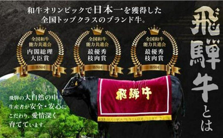 飛騨高山の飛騨牛焼肉 リブロース＆モモ合計2000g 満足の食べ応え｜飛騨牛 黒毛和牛 PS003 　
