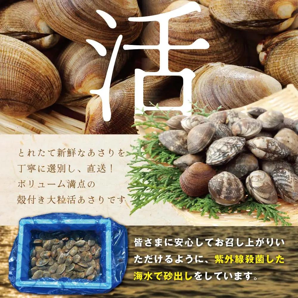 北海道産 野付産 大粒 天然 活あさり 4kg前後 北海道 別海町 大粒 野付