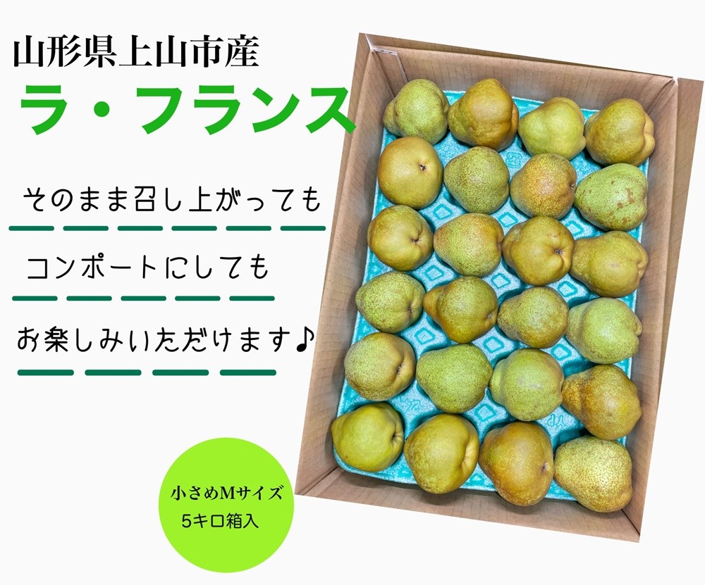 
                  西洋梨（ラフランス）５ｋｇ　Ｍサイズ　ご家庭用　0055-2611
                