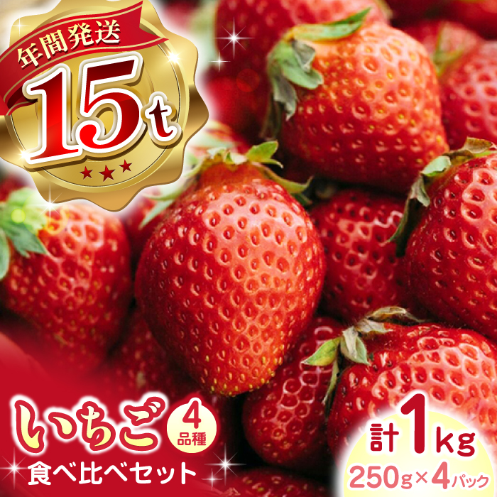 【先行予約】【2025年12月より順次発送】いちご 4品種 食べ比べセット 計1000g ( 250g × 4P ) 農園直送 産地直送 熊本県産 山都町産【なかはた農園】[YBI002]