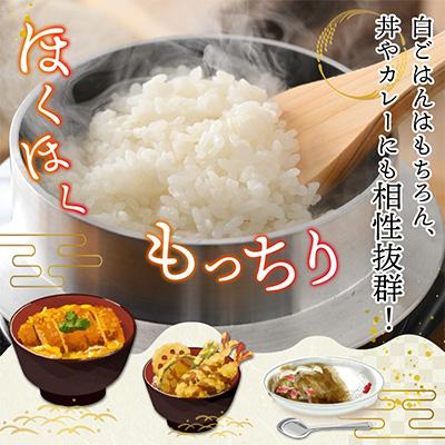 ふるさと納税 小浜市 令和6年産　特上栽培　[農家直送]特上コシヒカリ5kg×2袋　福井県小浜市「松のみどりの」 |  | 02