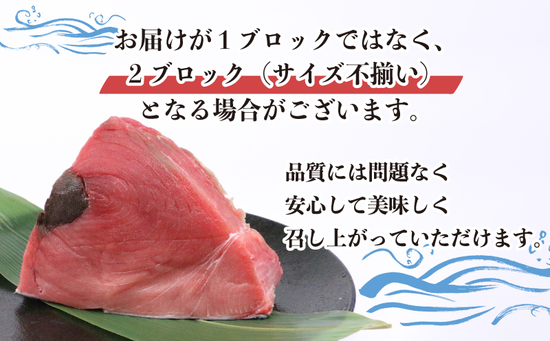 【2026年1月14日発送】訳あり 本マグロ ブロック 450～600g 媛まぐろ ダイニチ 鮪 刺身 国産マグロ 養殖マグロ 本鮪 クロマグロ マグロ 赤身 中トロ 大トロ 部位 指定不可 漬け ネ