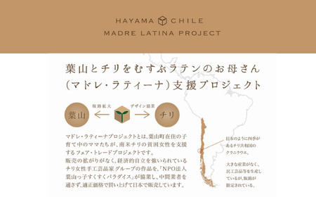 羊革のペンケース（ぬめ革・ベージュ）　MADRE LATINA PROJECT ／ ポーチ 雑貨 神奈川県【(特非)葉山っ子すくすくパラダイス】[ASAT006]