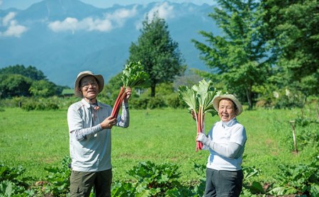 クラフトビール ルバーブ ビール 飲み比べ 2種類 （ホワイト・ルバーブ） 長野 地ビール