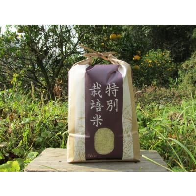 ふるさと納税 上郡町 【栽培期間中農薬不使用】『タガメの里自然米』2025年産「にこまる」白米5kg |  | 02