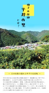 古座川町 おばぁの柚子みそドレッシング 180ml 5本 ゆず 柚子 柚 ユズ 野菜 味噌 みそ 【yuz127】