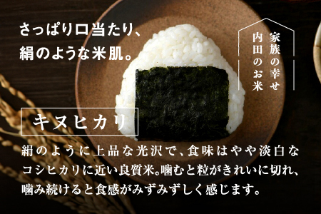 【3ヶ月連続お届け】新米！2024年10月中旬以降順次発送！令和6年産 おしどり米 3種類食べ比べ定期便 5kg × 3回 計15kg