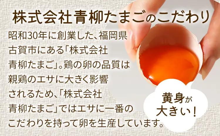 卵  青柳たまご 20個  卵 