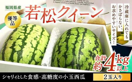 福岡県北九州市若松産 【優等品】 若松クイーン 約4kg以上 (約2kg以上2玉入り) 【2025年7月下旬～8月上旬発送予定】