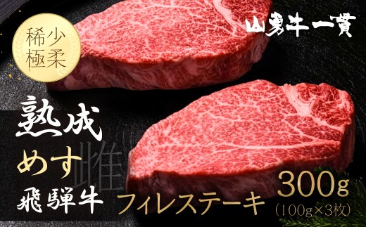 
                  ＜8月から寄附額改定＞飛騨牛 熟成肉『山勇牛』 ヒレステーキ 100g×3 フィレステーキ 30日以上熟成 牛肉 和牛 A4 A5 冷凍 飛騨市 ステーキ ヒレ肉 ヒレ 
                