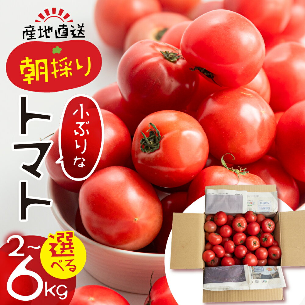 【ふるさと納税】【2025年11月～発送】大容量 トマト 選べる 2kg 6kg 令和8年産 先行予約 先行受付 大玉トマト の 小ぶり サイズ おまかせ 不揃い 訳あり 訳アリ 野菜 岐阜県産 本巣市 朝採り 産地直送 新鮮 期間 数量限定 常温 ポットファクトリー 美味しい 1万 10000円