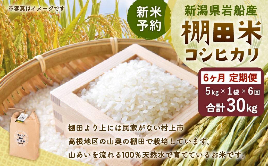 
                  【新米受付・令和8年産米】【定期便：6ヶ月連続でお届け】新潟県村上市岩船産 棚田米コシヒカリ 5kg×6ヶ月　1011004N
                