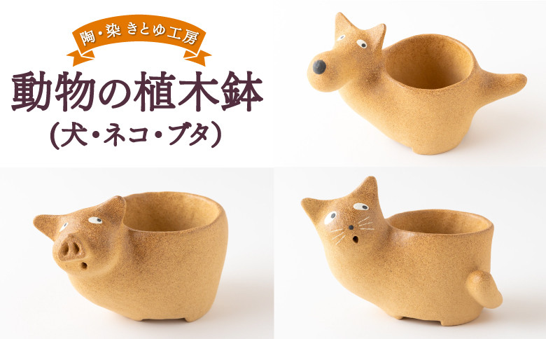 
            陶・染 きとゆ工房 動物の植木鉢 (犬・ネコ・ブタ)
          