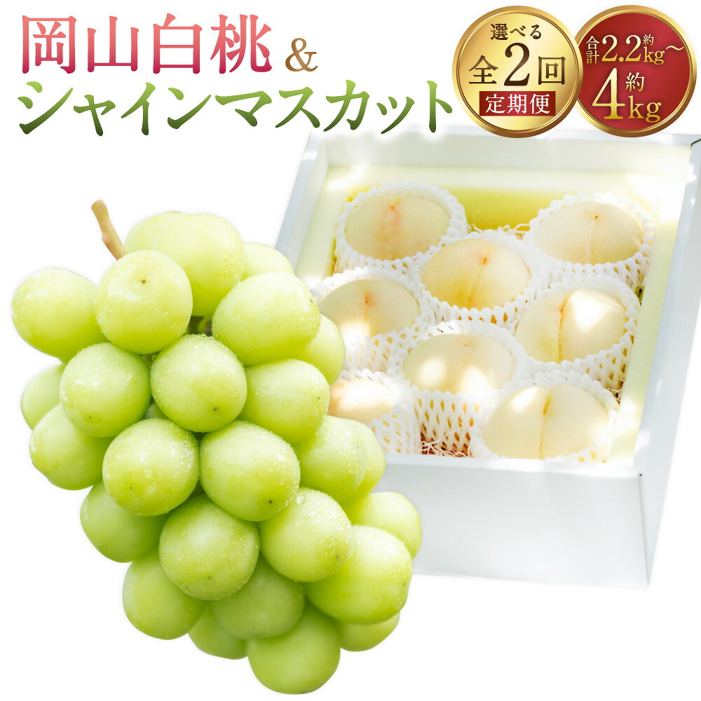 【ふるさと納税】＜選べる内容量＞【2回定期便】岡山白桃（清水白桃 or おかやま夢白桃）&シャインマスカット 桃 もも モモ マスカット ぶどう ブドウ 葡萄 くだもの 果物 果実 フルーツ 冷蔵 岡山県産 国産 岡山県 美咲町 送料無料 【2026年7月下旬から順次発送予定】
