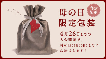 【母の日ギフト対応】 LINKA マルチフェイシャルトリートメント（複合美顔器）