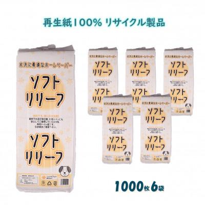 ふるさと納税 美濃市 【3ヵ月毎定期便】ちり紙【リリーフ】1000枚x6袋 全4回