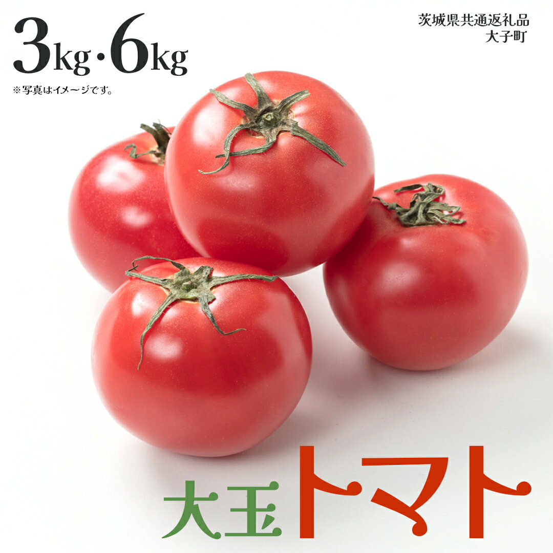 【ふるさと納税】《 選べる 内容量 》大玉 トマト 3kg / 6kg (茨城県共通返礼品：大子町) 野菜 フルーツ 旬 季節限定 期間限定