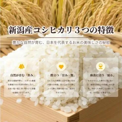 新潟産 コシヒカリ 3kg 令和7年産