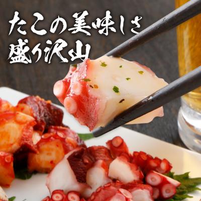 ふるさと納税 古賀市 彩りたこづくしセット【(株)カイセイ】 |  | 02