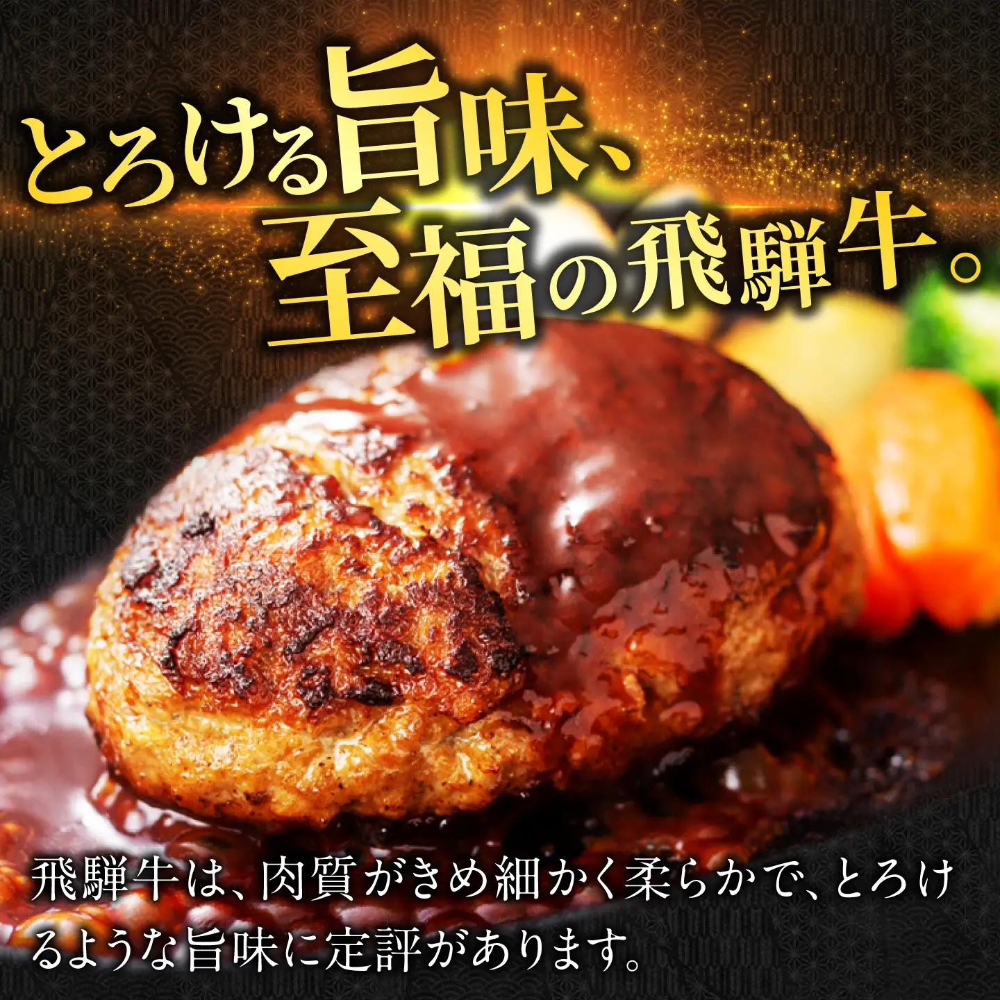 飛騨牛 生ハンバーグ 6個  生ハンバーグ[ANBO030]