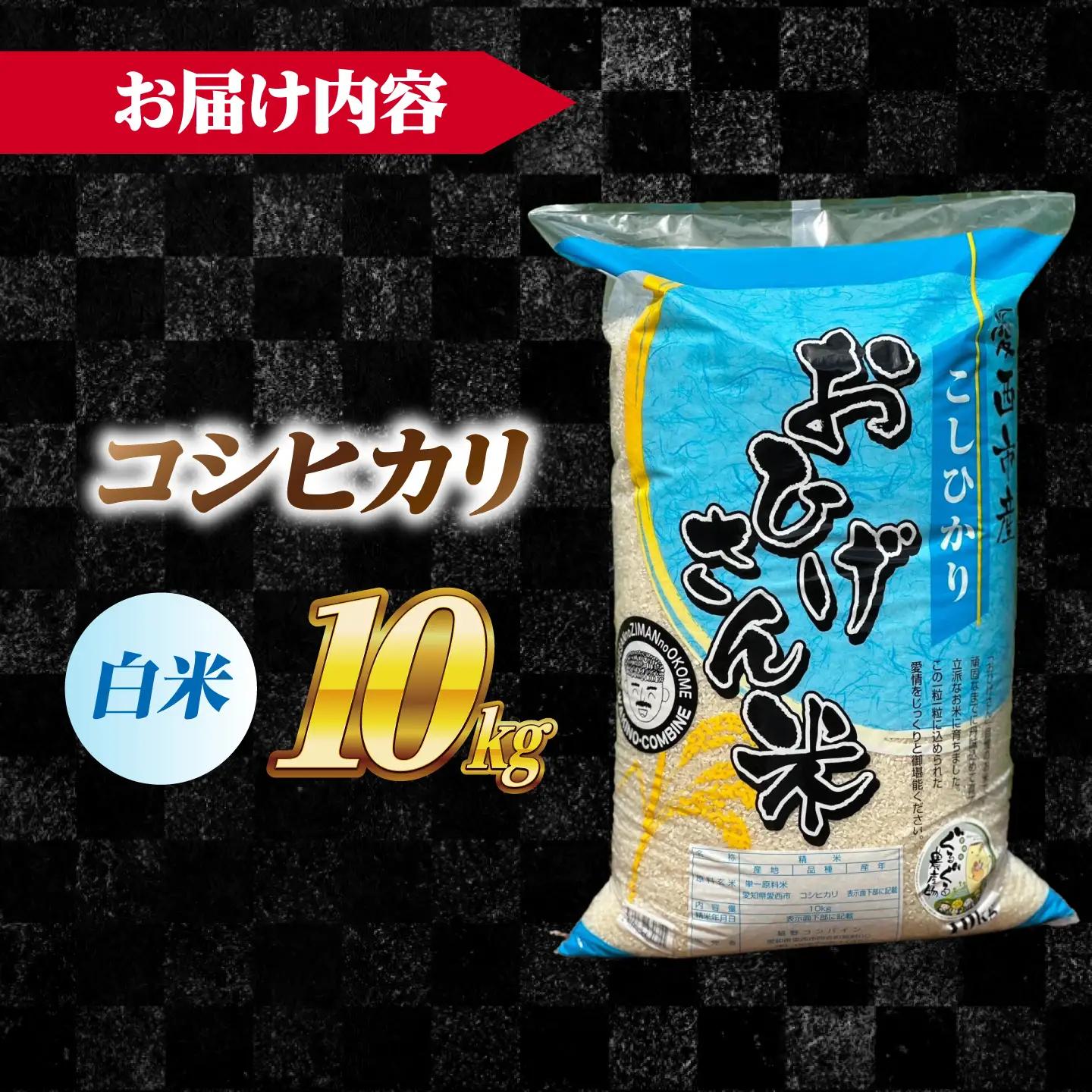 コシヒカリ 白米 10kg [AECP022-1] コシヒカリ