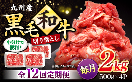 【12回定期便】 切り落とし 西海市産 黒毛和牛 計24kg（約2kg×12回）＜宮本畜産＞[CFA010] 長崎 西海 黒毛和牛 牛 和牛 切り落とし 大人気切り落とし 人気切り落とし 大人気和牛切り落とし 人気和牛切り落とし 大人気黒毛和牛切り落とし 人気黒毛和牛切り落とし 大人気牛肉切り落とし 人気牛肉切り落とし 黒毛和牛切り落とし 冷凍和牛切り落とし ブランド和牛切り落とし 和牛切り落とし 牛肉切り落とし ブランド和牛 和牛 牛肉 切り落とし 和牛切り落とし 牛切り落とし 通販切り落とし お取り寄せ