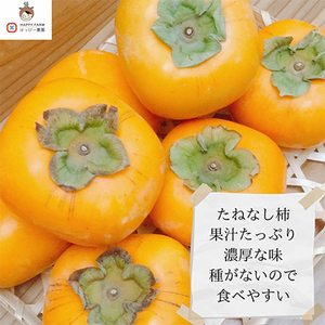【令和7年10月下旬から発送】たねなし柿L～2Lサイズ(16～18個入り)【配送不可地域：離島】【1410559】