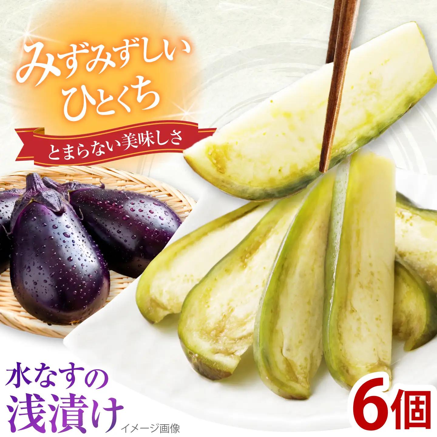 なす 水なすの浅漬け 6個 / なす ナス 茄子 水茄子 漬物 浅漬け 煮浸し 季節野菜 夏野菜 やさい 野菜 ベジタブル 冷蔵 国産 大阪府 特産品 / 大阪府藤井寺市/草竹農園[BLCN001]