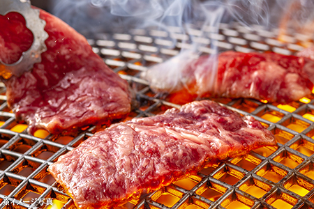 富津市産「かずさ和牛」網焼き肉（サーロイン）750g／5人前