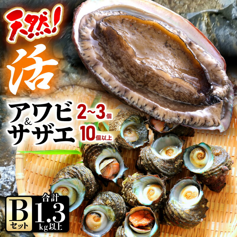 【ふるさと納税】【先行予約】【期間限定】天然！活アワビ ＆ 活サザエ セットB【2025年6月中旬以降順次発送予定】【入手困難 産地直送 刺身 お造り おせち バター焼き BBQ あわび 鮑 サザエ さざえ 貝 海鮮 魚介 酒の肴 つまみ 贅沢 ご褒美 冷凍 福井】 [m21-d002]