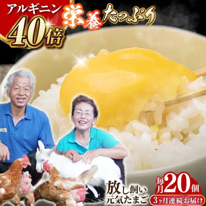 【全3回定期便】アルギニン 元気たまご 20個【浅田峠自然塾】[EA02] 平飼い卵 放し飼い卵 たまご