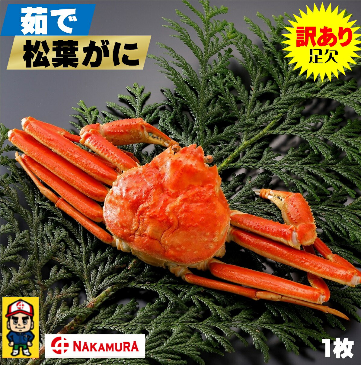 【ふるさと納税】【訳あり】先行予約 鳥取県産 茹で松葉がに 大1枚（足1本なし） 約800g 冷蔵【23-070-001】【11月中旬～2月末発送】中村商店 松葉ガニ 蟹 かに カニ 鳥取 足欠け ご家庭 海鮮 海の幸 お取り寄せ ご当地 グルメ 鳥取県 米子市