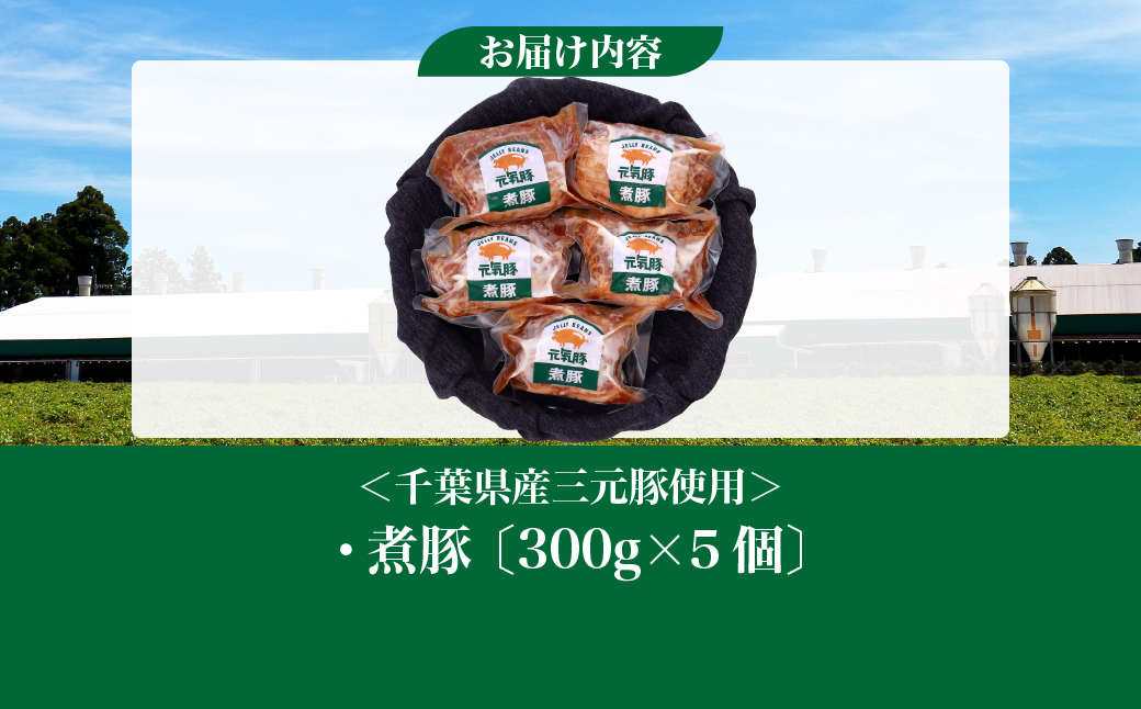 【農場直送】元気豚 煮豚セット 300g×5個【配送不可地域：離島・沖縄県】 TAKB015