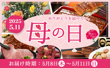 【母の日】宮崎牛焼肉2種セット500g×2パック≪5月8日～11日お届け≫_16-N202-MG_(都城市) 宮崎県産宮崎牛 肩ロース ウデ又はモモスライス 焼肉 (500g×2)1kg ギフト