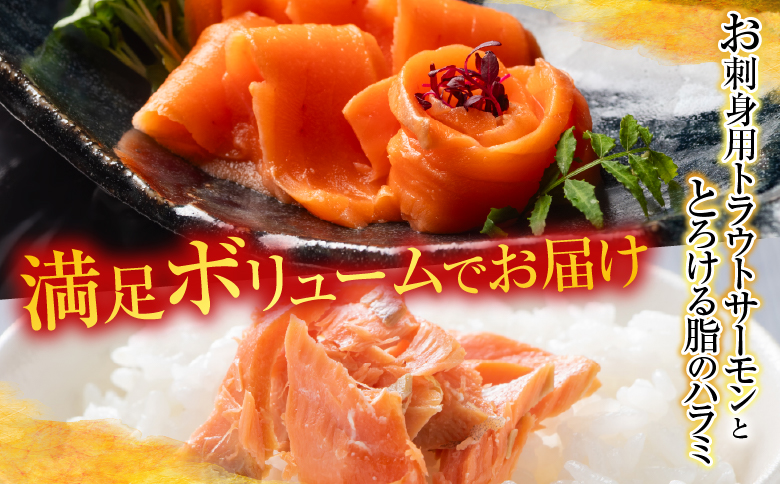 お刺身トラウトサーモン1kg＆とろサーモンハラミセット1.5kg B-09007