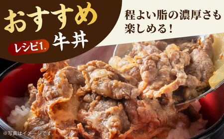 佐賀牛切り落とし500g HBH128 切り落とし 佐賀牛 国産 和牛