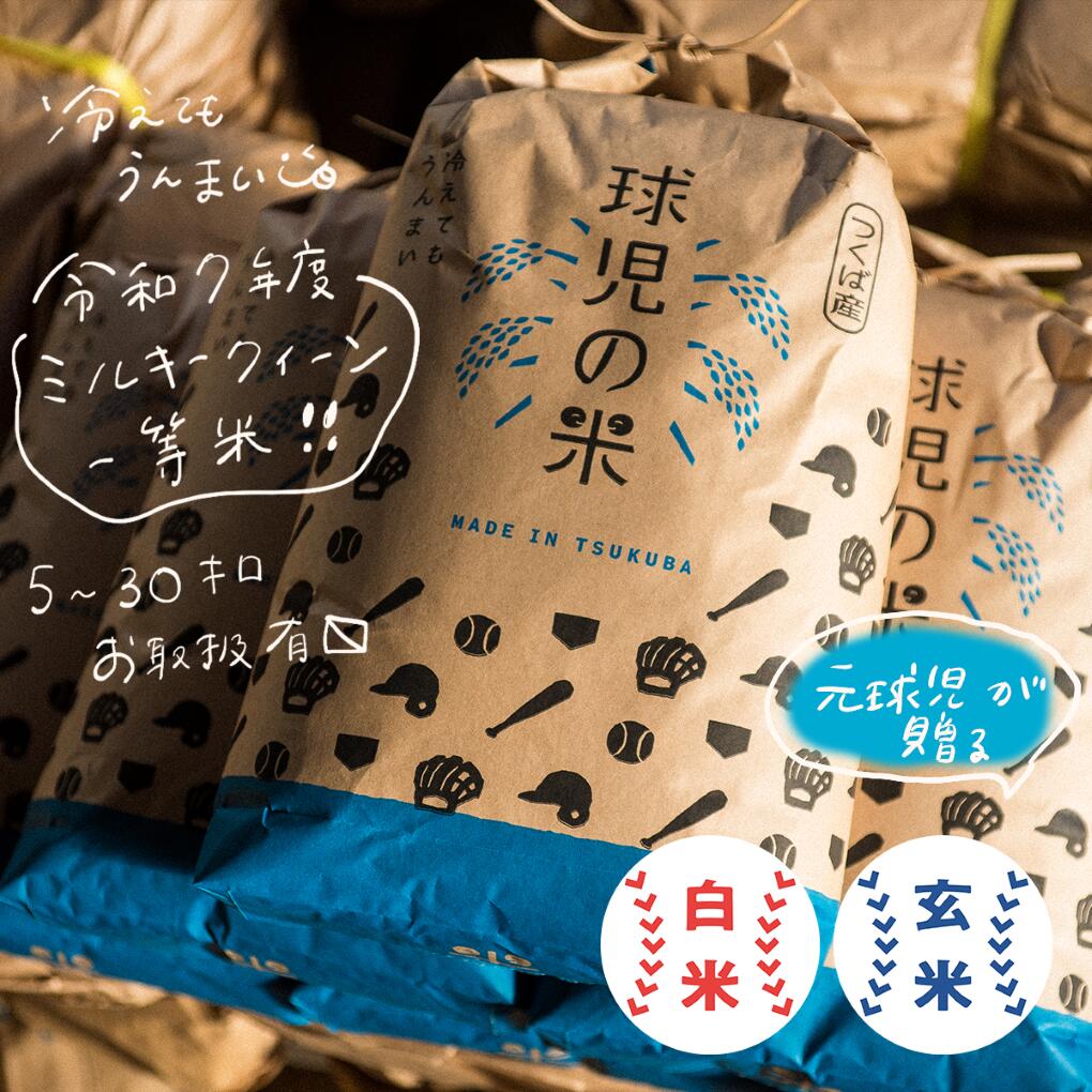 【ふるさと納税】米 5kg～30kg ミルキークイーン 令和7年産一等米 球児の米 | こめ コメ お米 ご飯 5 10 20 30 ライス 精米 白米 一等米 R7 飯泉農園 茨城県 つくば市