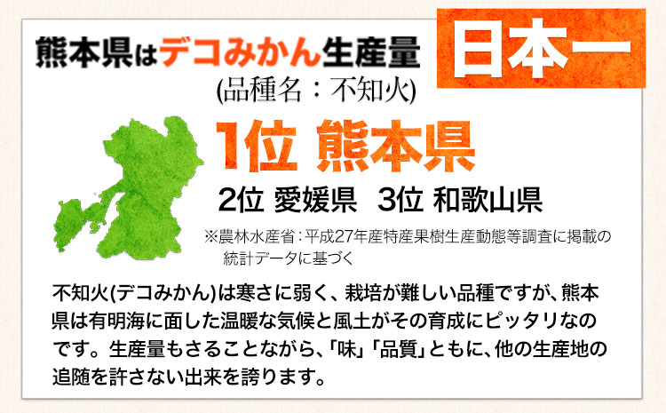 不知火 ご家庭用 デコみかん 約5kg 12〜24玉前後《2026年2月上旬-4月末頃出荷》フルーツ 柑橘 みかん デコポン（不知火）と同品種 熊本県産 熊本県 長洲町 訳あり