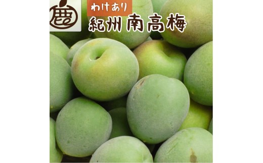 家庭用 紀州南高梅(青梅)5kg+250g（傷み補償分）【梅干し・梅ジュース】【訳あり】［IKE113］