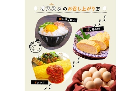 【3回定期便】赤たまご 30個定期便 【卵定期便】  [019MF002R]  