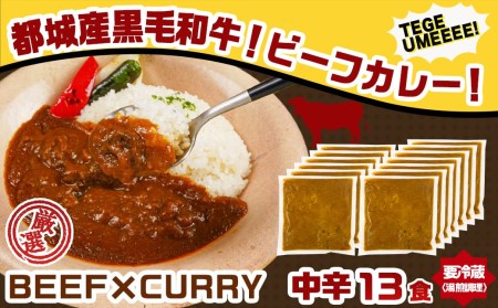 カレー倶楽部ルウの26食カレーセット(ビーフ13食＆チキン13食)_14-2701_(都城市) ビーフカレー 都城産黒毛和牛使用 チキンカレー 国産鶏使用 チルド食品