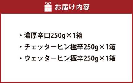 ギフトセット【辛口セット】（濃厚辛口×1、チェッターヒン極辛×1、ウェッターヒン極辛×1） カレー ミャンマーカレー レトルトカレー レトルト ミャンマー 辛口 常温 東京都 武蔵野市