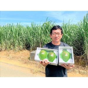GZ005【2025年発送】『天使のマンゴー』宮古島産キーツマンゴー 約800g（1玉）ご贈答用「LA MANGUE BLEUE」農家直送
