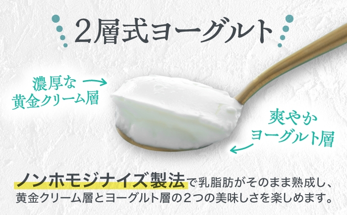 オオヤブデイリーファーム くまもと半熟よーぐるちょ 350g×5個セット ヨーグルト