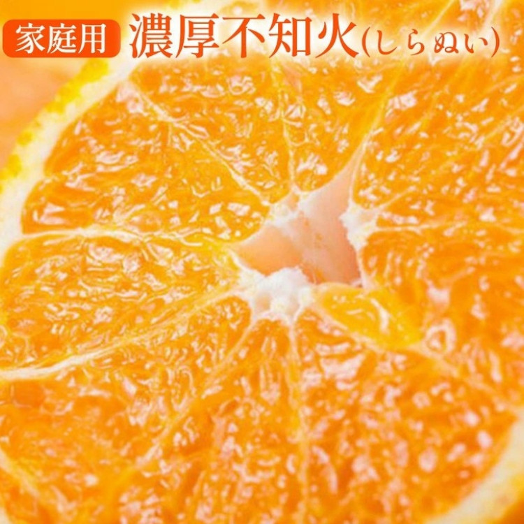 
            【先行予約】有田育ちの濃厚 不知火(デコポン と同品種)(訳あり 家庭用) 約1kg◇ ※2026年1月下旬～3月下旬頃に順次発送予定 ※北海道・沖縄・離島への配送不可
          