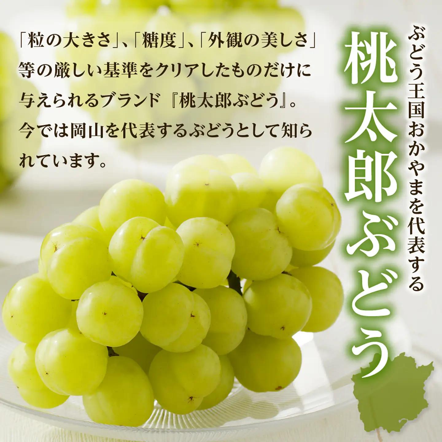 【2026年発送分　先行受付開始！】びぜん葡萄「桃太郎ぶどう」（ハウス栽培）約2㎏入（令和8年8月中旬～9月中旬頃発送）【葡萄 桃太郎ぶどう】